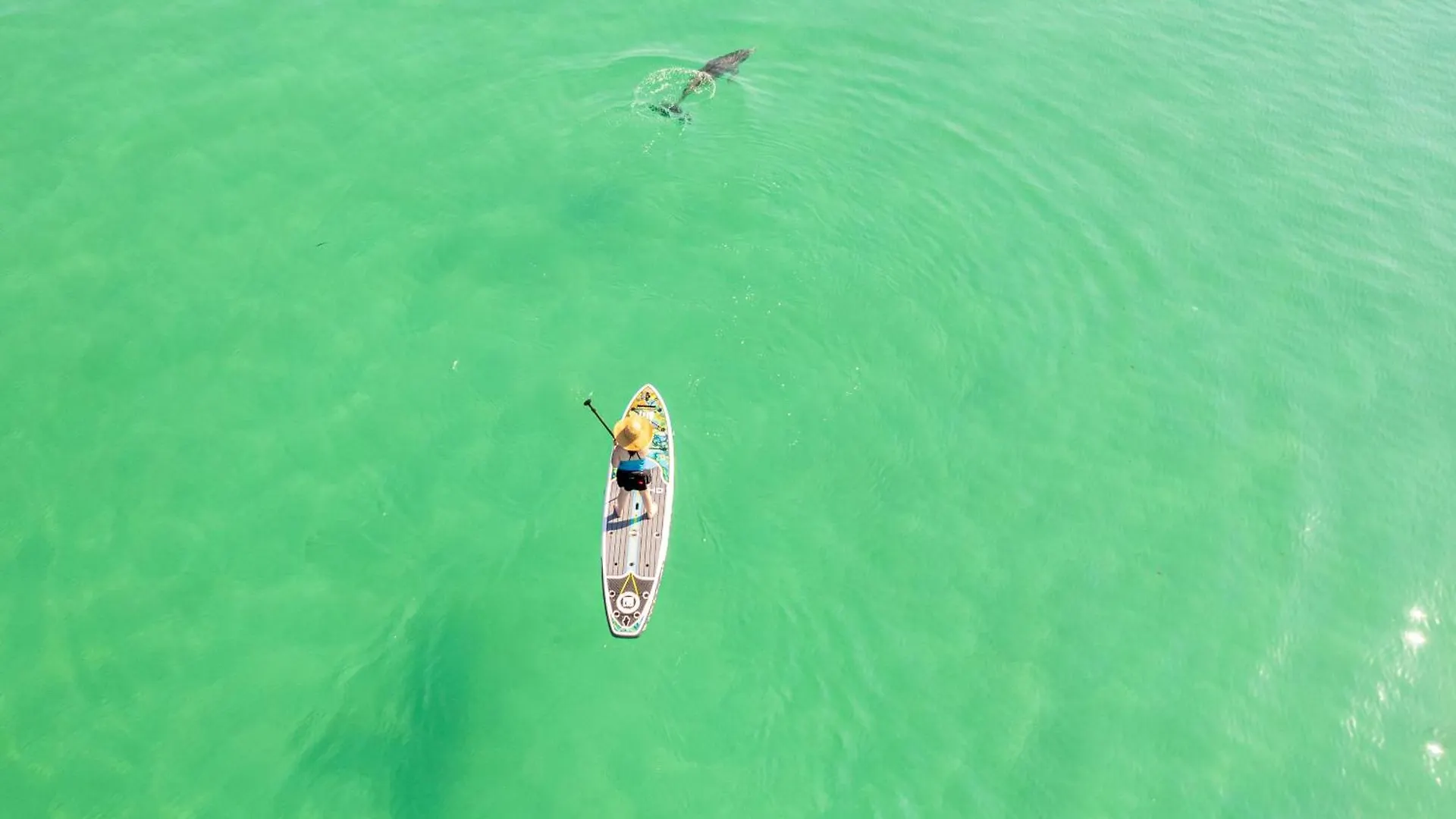 Sandpiper Cove 1151- By Holiday Isle Properties Destin United States